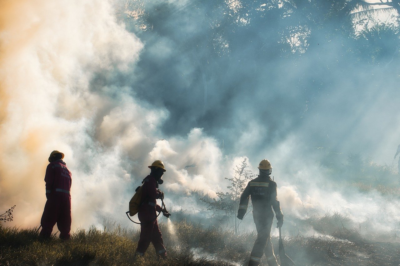 The Devastating Effect of Forest Fires and Climate Change